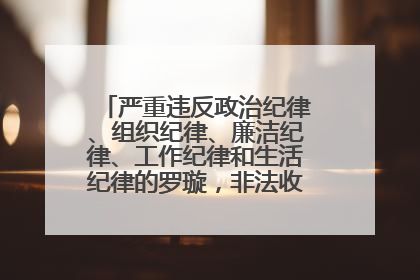 严重违反政治纪律、组织纪律、廉洁纪律、工作纪律和生活纪律的罗璇，非法收受他人巨额财物